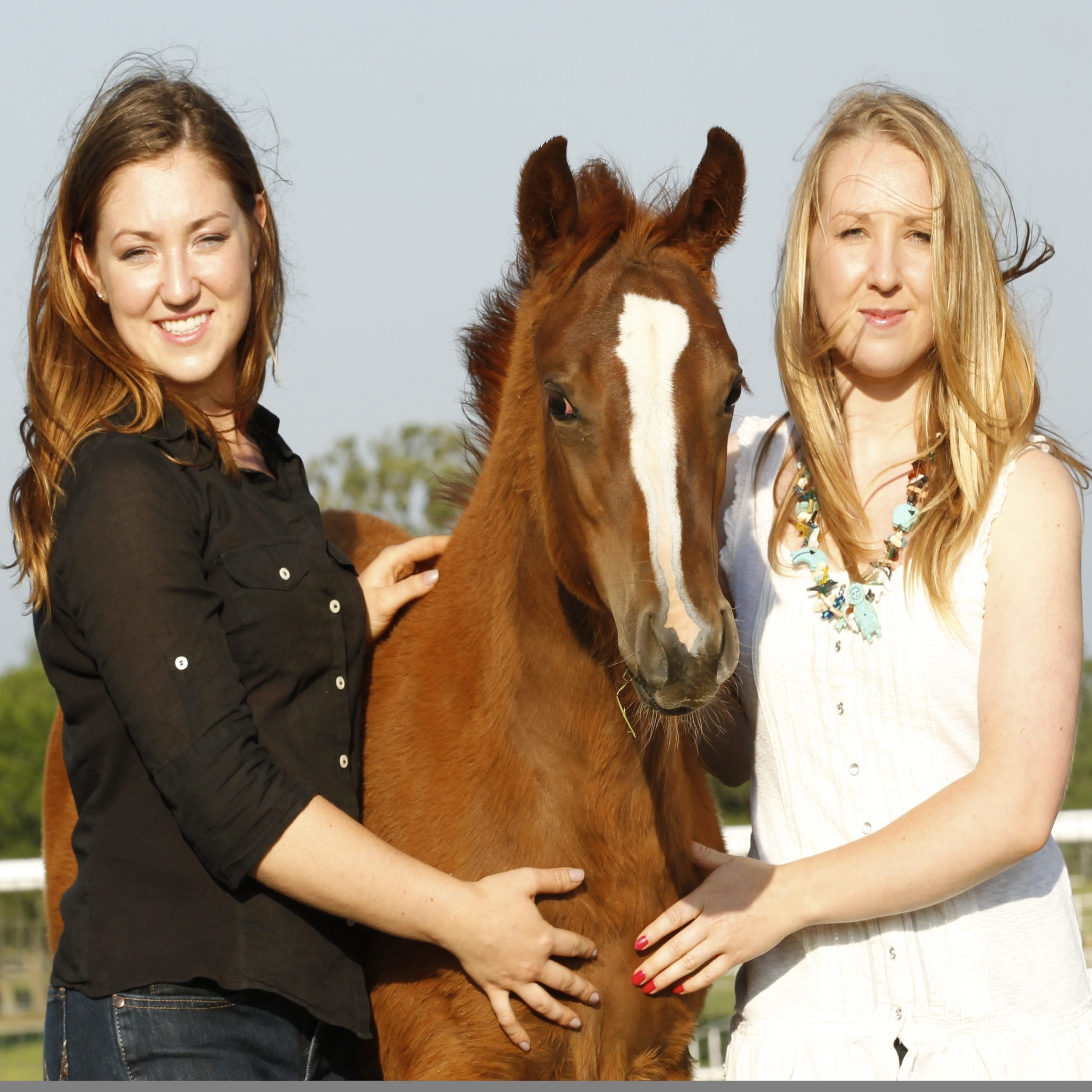 GoHorseShow - The Porter Sisters: Sibling Rivalry at Its Best