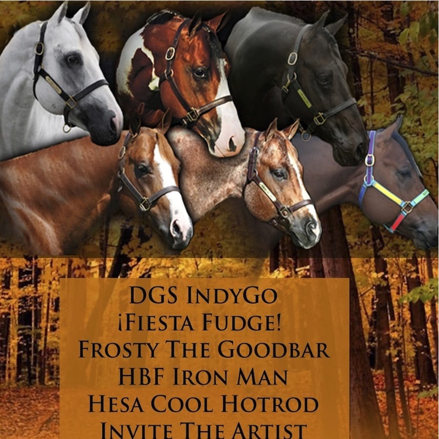 GoHorseShow DeGraff Stables Announces 2015 Breeding Lineup and Specials