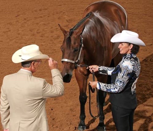 Horse Showing Trends and Fads - From a Judge's Point of View!