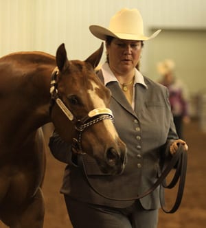 Highlights from 2011 Jerry Wells Halter Futurity