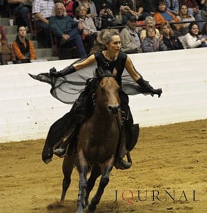 Westfall's Freestyle Horse TSW Can Can Vaquero Euthanized