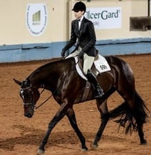 GoHorseShow - Alexandra Chavez Hits The Major Leagues