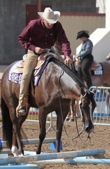 GoHorseShow - Bruce Vickery: How to Win the Trail at the Big Shows