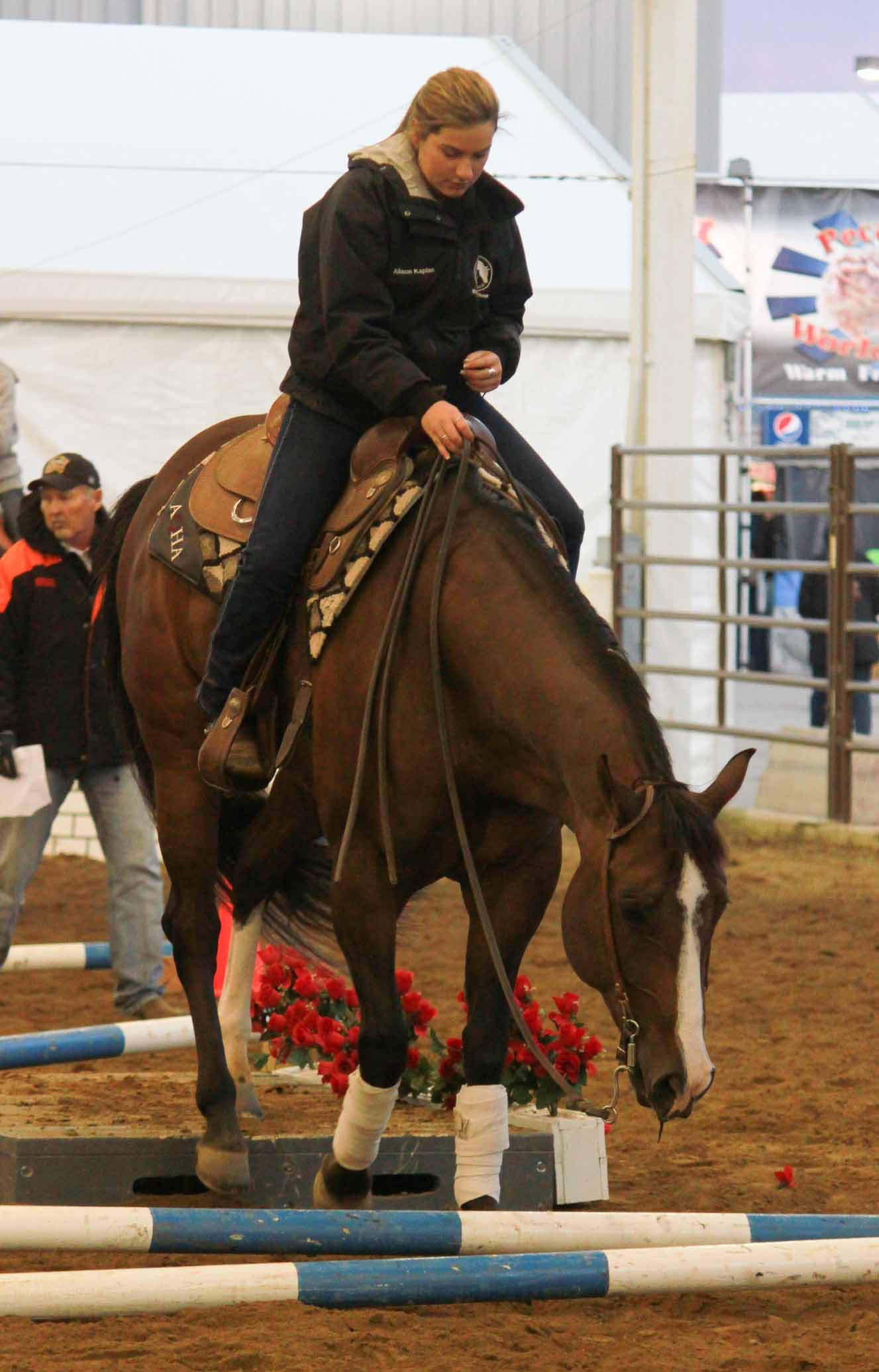 GoHorseShow AllAmerican Quarter Horse Congress 2013, Columbus, OH