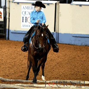 Youth, amateur and Select amateur competitors can now vie for the first ranch pleasure world championships at their respective shows. (Journal photo)