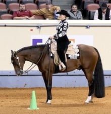 whitney walquist vicars horsemanship cone ready 