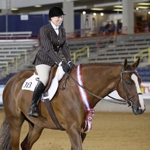 Kirsten Farris and Lyles Al Lie Win Gold in Hunter Under Saddle