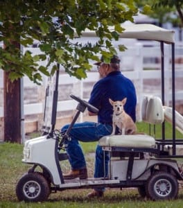 keystone 2015 golf cart