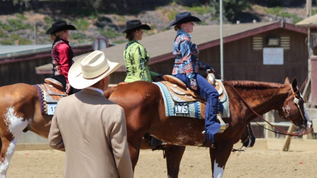 GoHorseShow Congratulations to the 10 Newly Approved APHA Judges