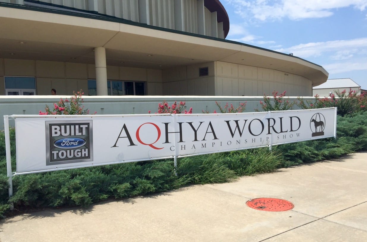 GoHorseShow aqhya world show banner