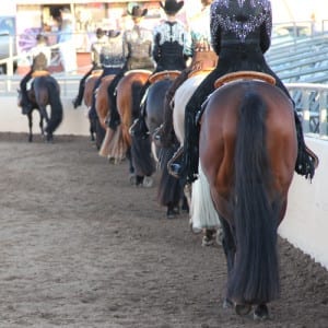 Generic Horsemanship_rail500