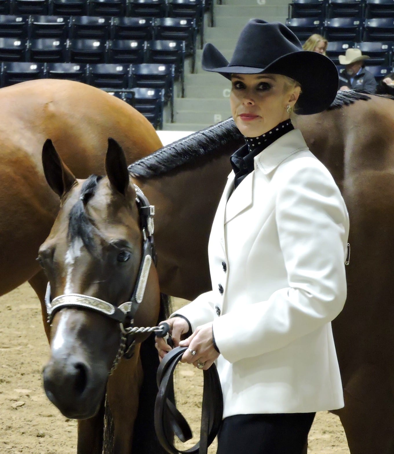 GoHorseShow - We Ask The Experts Congress Edition: What is
