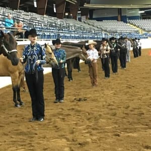 My picture of the day is the finals line up of the Youth Rookie Showmanship.