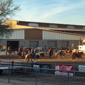 The Senior Trail, Senior Reining and the Amateur Reining were all between 90-125 horses shown! The numbers don't lie and are proof that the Sun Circuit is the place to be in January. 