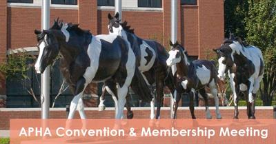 2017 APHA Convention, Irving, TX