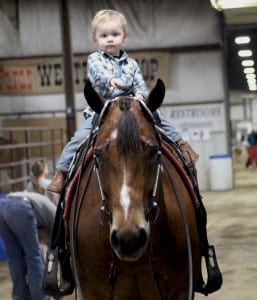 jax horse weakly gordyville