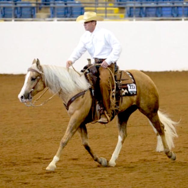 GoHorseShow - Ranch Riding: Why is it so popular?