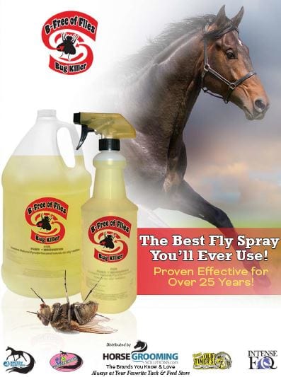 bfreeof flies horse grooming solutions
