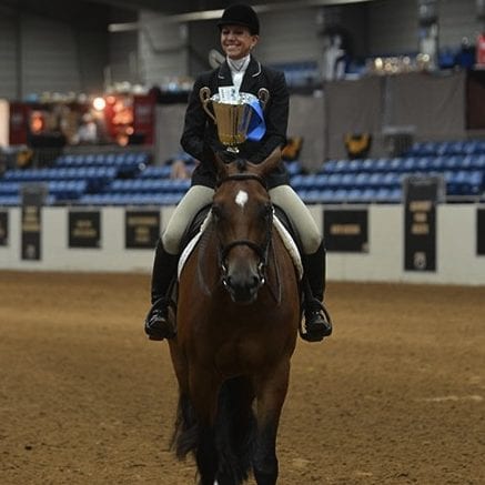In the Ford Truck Arena, Hunter Under Saddle classes began the day, with Deanna Searles and Al Be Desirable taking the first championship of the day in the Breeders Championship Futurity 4-6 Year Old Open Hunter Under Saddle. Photo © NSBA
