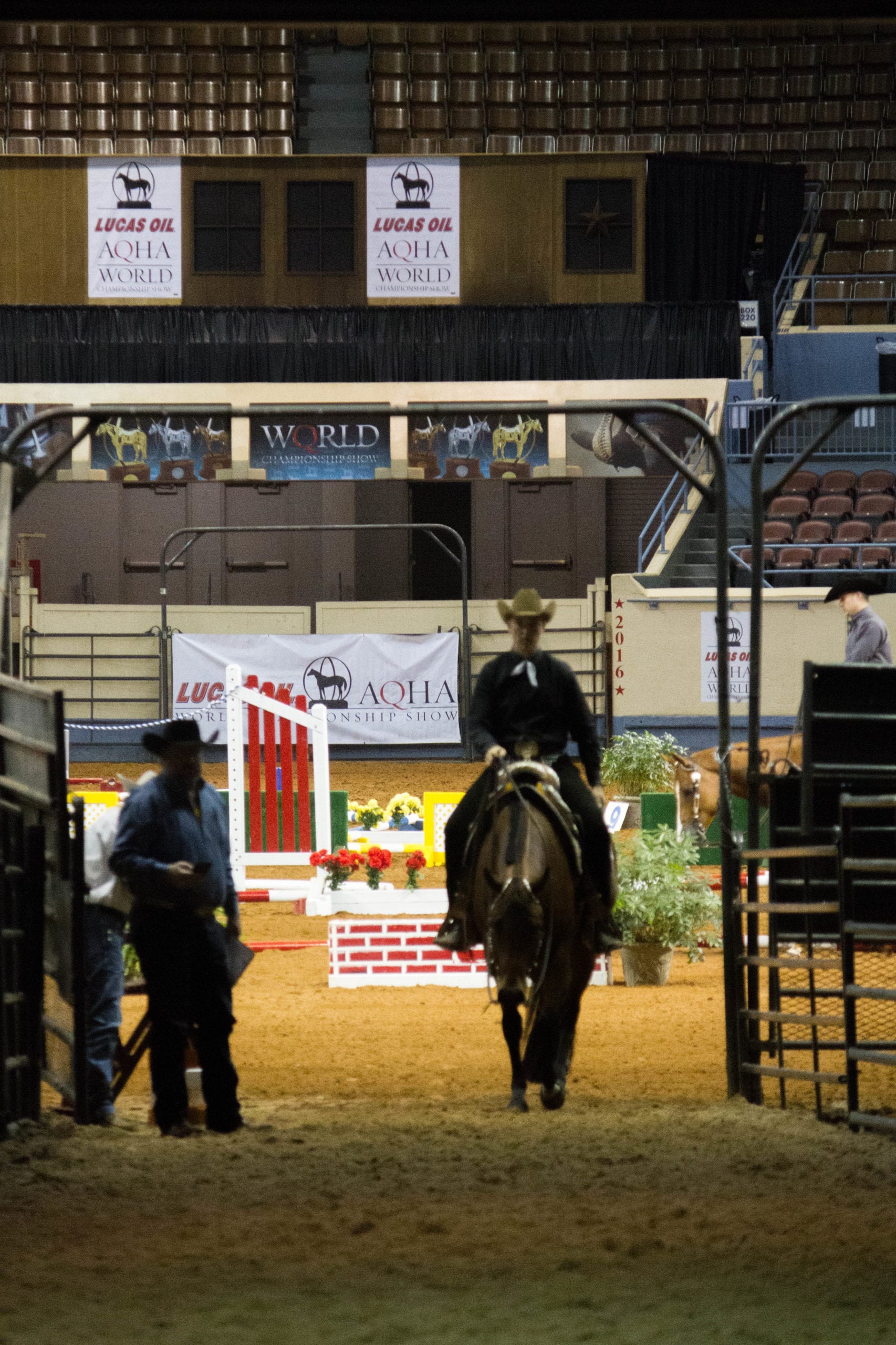 2016 AQHA trail