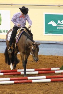 2016 AQHA World Show Trail generic - Johns