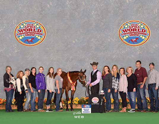 tim gillespie Elle Oh Elle 2016 apha world show reserve champion 