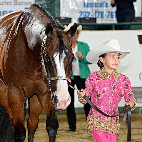 GoHorseShow - The Cute Factor: Small Fry Fashion at its Finest