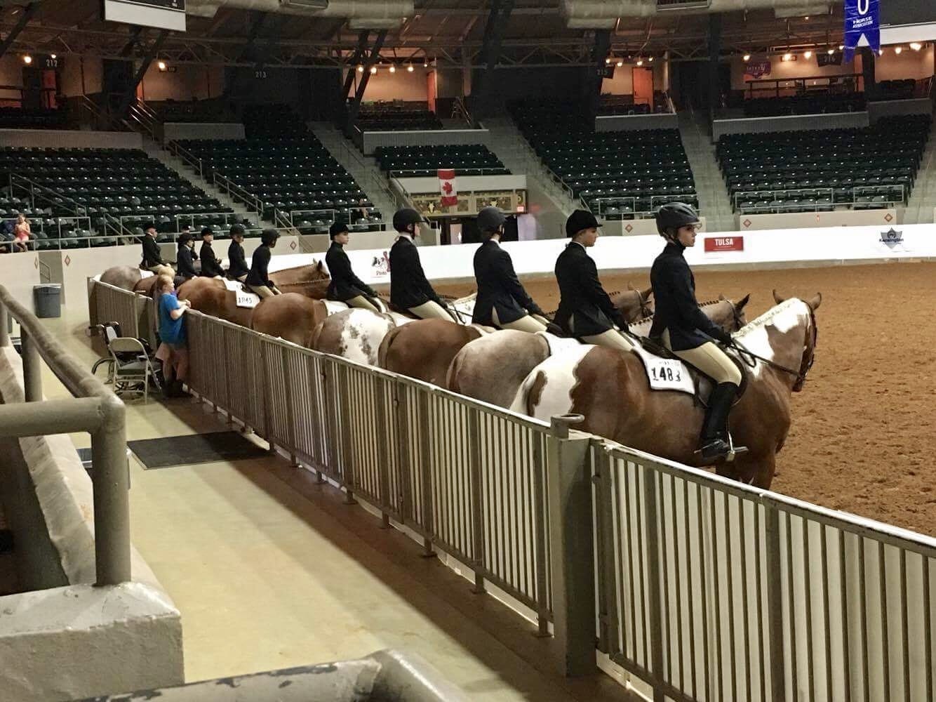 GoHorseShow 2017 Pinto World Championships, Tulsa, OK GoHorseShow