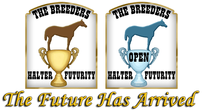 2018 Breeders’ Halter Futurity, Des Moines, IA