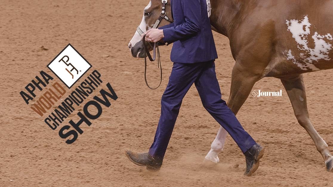 GoHorseShow 2019 APHA World Championship Show Schedule Now Posted