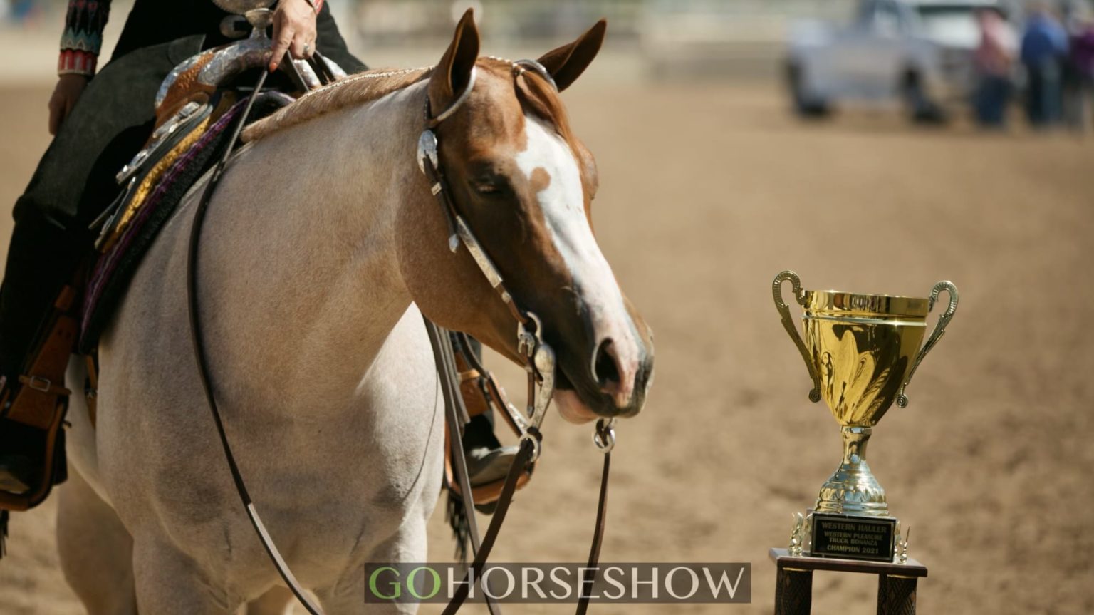 GoHorseShow 2022 Arizona Sun Circuit Show Schedule Available Online Now