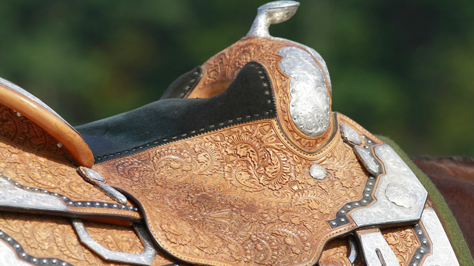 Tips for Choosing the Right Saddle