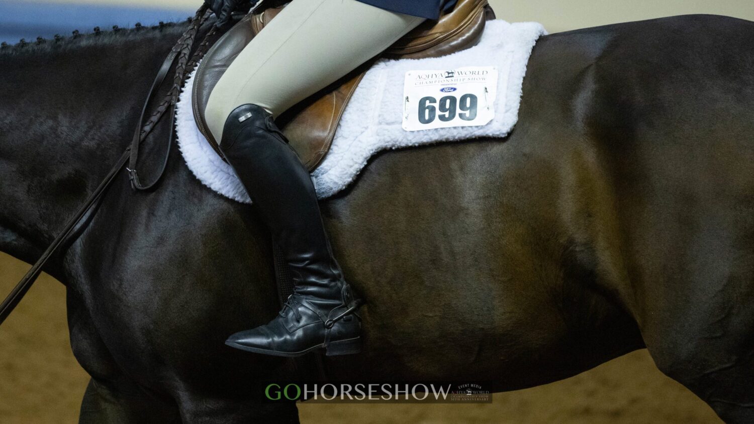 GoHorseShow - In and Out of the Saddle Exercises to Help Develop Better Balance pic