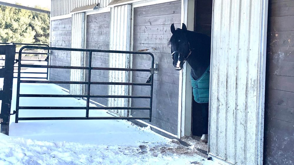 Baby It’s Cold Outside: Six Ways to Mix Up Your Winter Riding Routine – with Melissa Shetler and Adam Winter