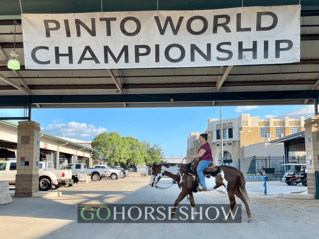 2023 Pinto World Championship, Tulsa, OK GoHorseShow