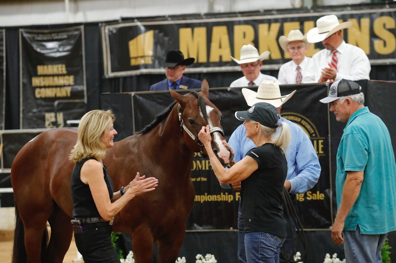 GoHorseShow Record Breaking 2023 NSBA Breeders Championship Futurity