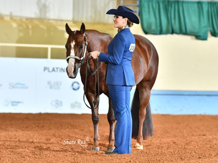 GoHorseShow 2024 AQHA Leveling Point Ranges Available Online