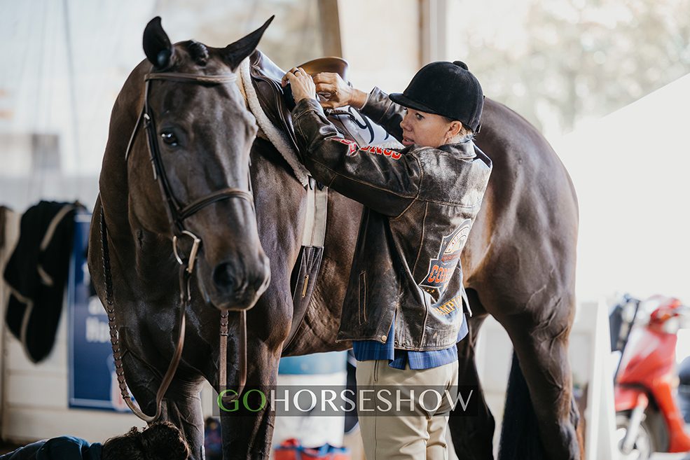 GoHorseShow 11 All American Quarter Horse Congress 2023 Keagan