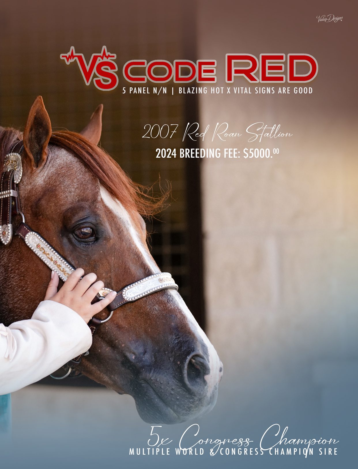 GoHorseShow - 033 HP_VS Code Red 02 - GO