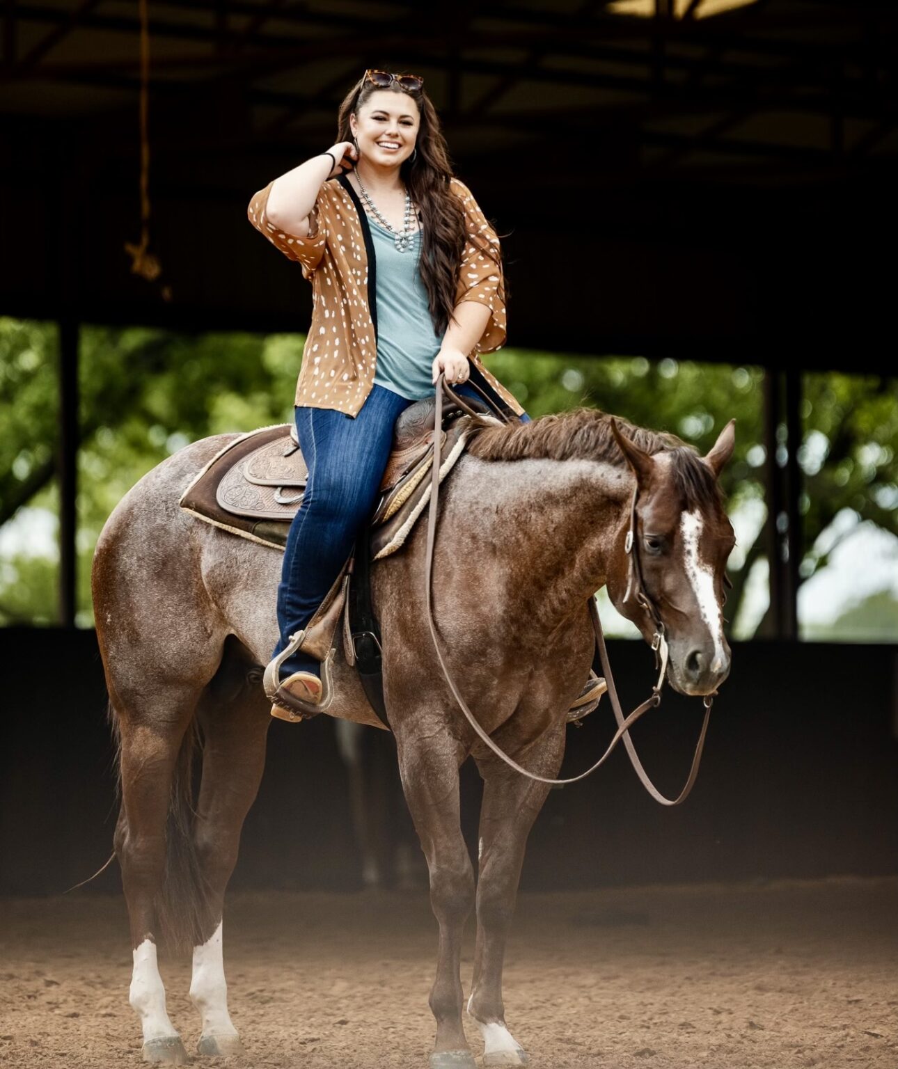 GoHorseShow Katie Van Slyke Purchases Royally Bred Stallion Prospect