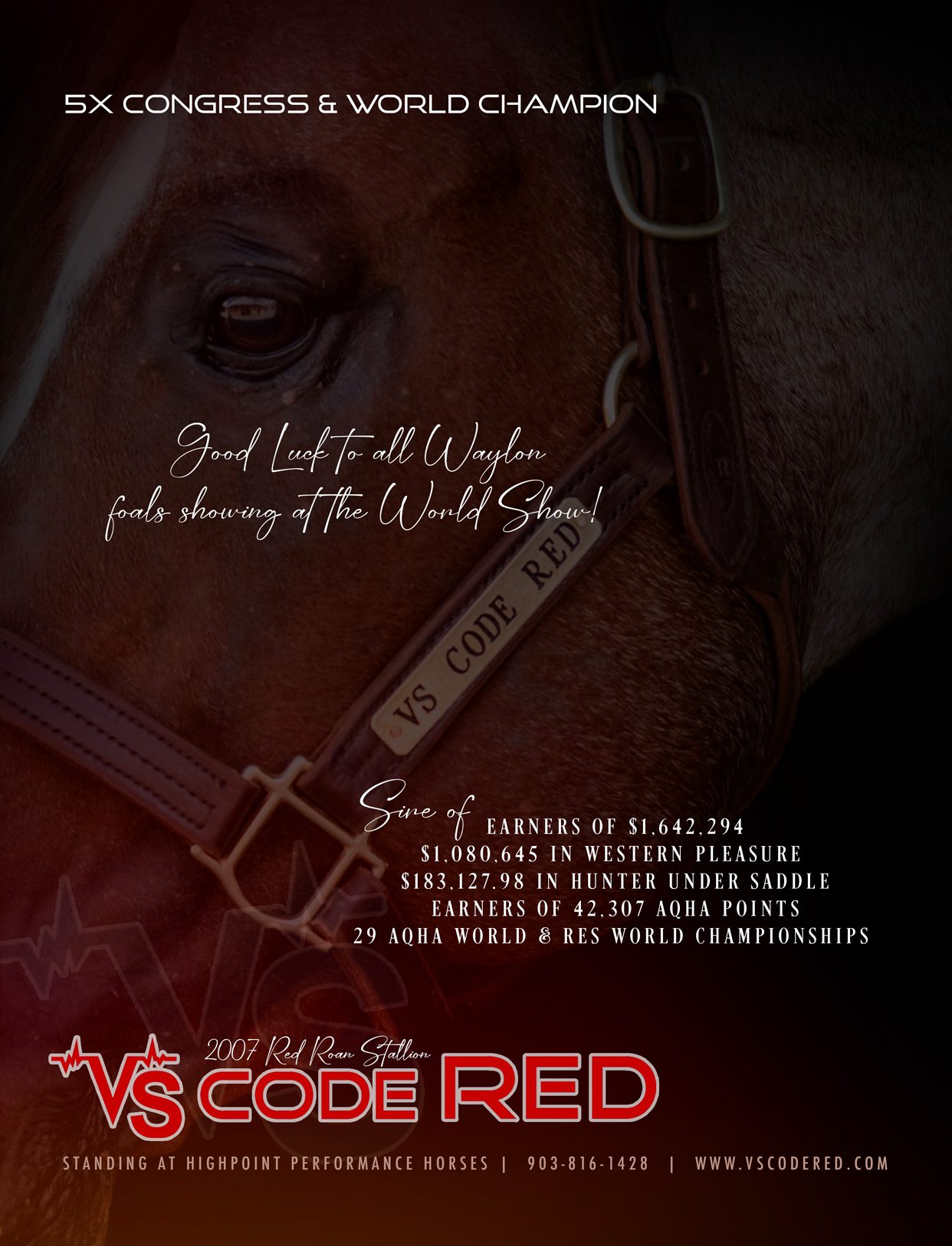 GoHorseShow - 056 HP_VS Code Red 01 - GO