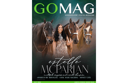 Current GoMag
