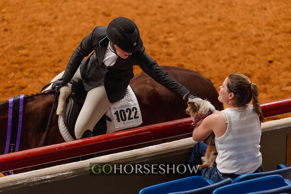 23 APHA World Show 2026 – Keagan Phillips