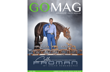 Current GoMag