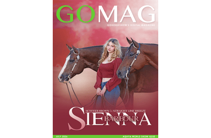 Current GoMag