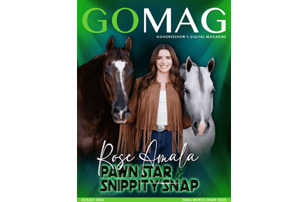 Current GoMag