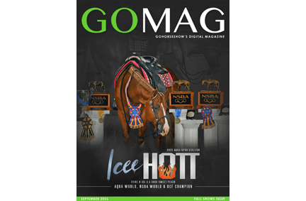 Current GoMag